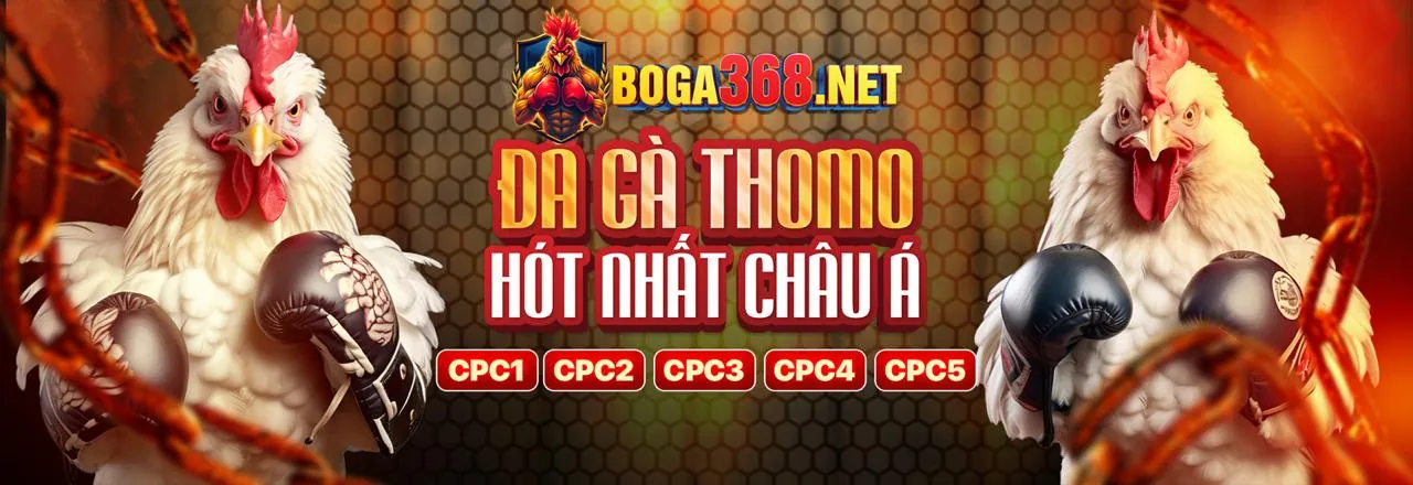 Biểu đồ cấp độ VIP tại Super8