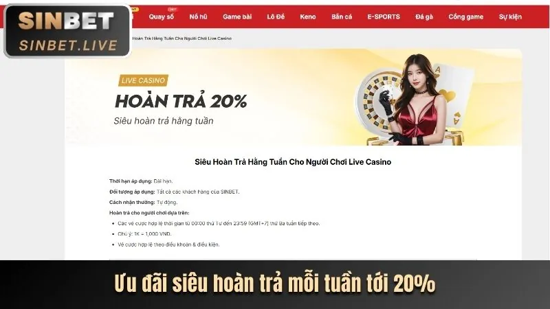 Điều khoản và điều kiện rõ ràng